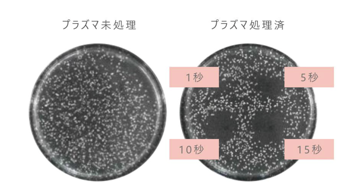 プラズマ未処理/処理済の比較